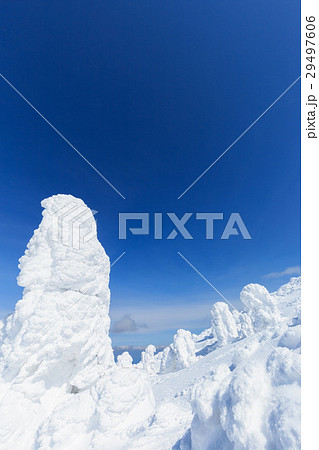 山形蔵王_快晴に輝く樹氷群 29497606
