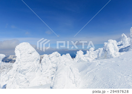 山形蔵王_快晴に輝く樹氷群 山形蔵王_快晴に輝く樹氷群 29497628