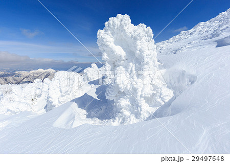 山形蔵王_快晴に輝く樹氷群 29497648