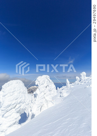 山形蔵王_快晴に輝く樹氷群 山形蔵王_快晴に輝く樹氷群 29497690