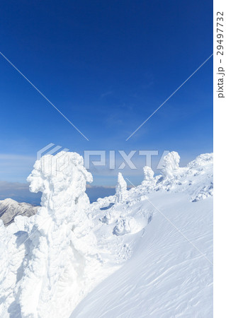 山形蔵王_快晴に輝く樹氷群 29497732