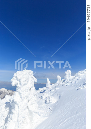 山形蔵王_快晴に輝く樹氷群 29497733