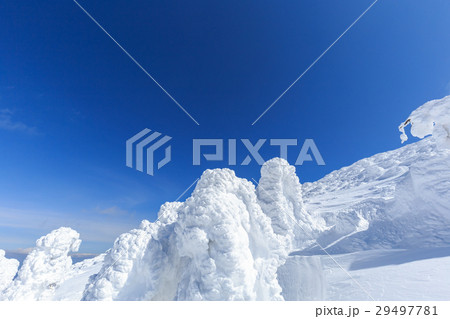 山形蔵王_快晴に輝く樹氷群 29497781