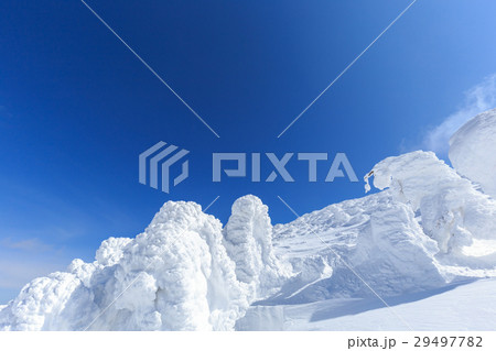 山形蔵王_快晴に輝く樹氷群 29497782