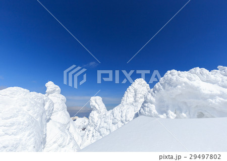 山形蔵王_快晴に輝く樹氷群 29497802