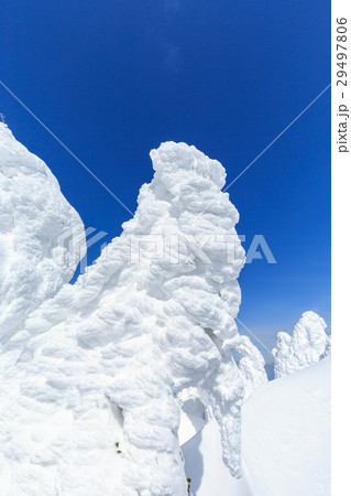 山形蔵王_快晴に輝く樹氷群 山形蔵王_快晴に輝く樹氷群 29497806