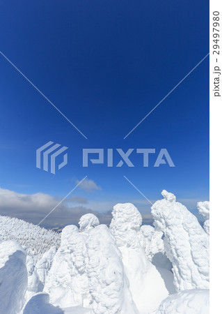 山形蔵王_快晴に輝く樹氷群 山形蔵王_快晴に輝く樹氷群 29497980