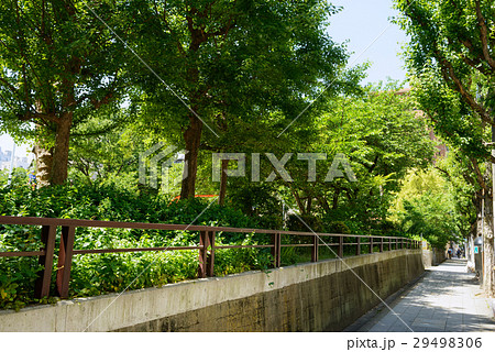 中大江公園 中大江公園 29498306