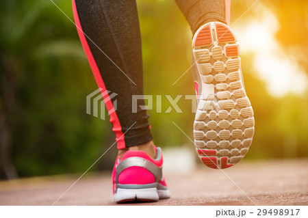 Fitness woman training and jogging in summer park Fitness woman training and jogging in summer park 29498917