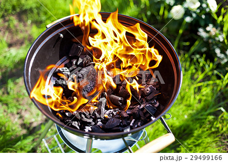 Barbecue charcoal in fire, preparing for grilling 29499166