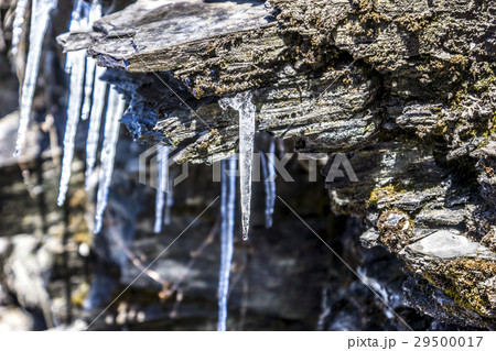 氷 アイス つらら 29500017