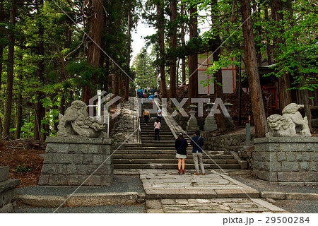 南陽市熊野大社 南陽市熊野大社 29500284