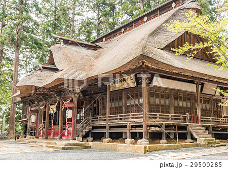 南陽市熊野大社 南陽市熊野大社 29500285