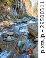 白布大滝渓流 29500311
