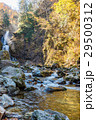 白布大滝渓流 29500312