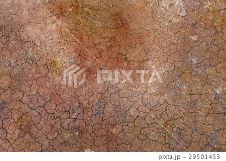 Ground of Geothermal Landscape Krafla, Iceland 29501453