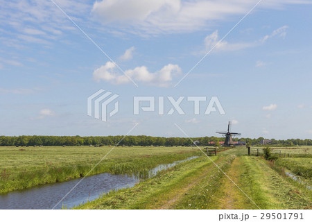 Mill Zwaantje in Friesland 29501791