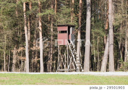 High seat for hunting beside the forrest 29501903