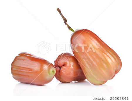 Rose apple on white 29502341