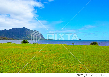 ハワイの東海岸の風景 29503450