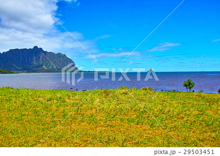 ハワイの東海岸の風景 ハワイの東海岸の風景 29503451