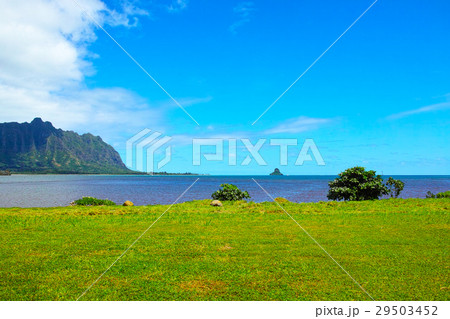 ハワイの東海岸の風景 ハワイの東海岸の風景 29503452