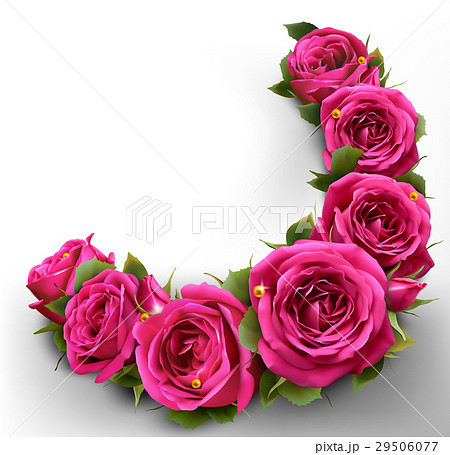 Roses Flowers Festive Border Concept 29506077