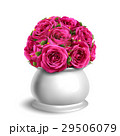 Bouquet of Roses in Flowerpot Congratulation 29506079