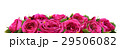 Roses Flowers Festive Border Congratulation 29506082