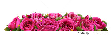 Roses Flowers Festive Border Congratulation 29506082