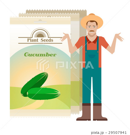Pack of Cucumber seeds icon 29507941