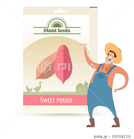 Pack of Sweet potato seeds 29508210
