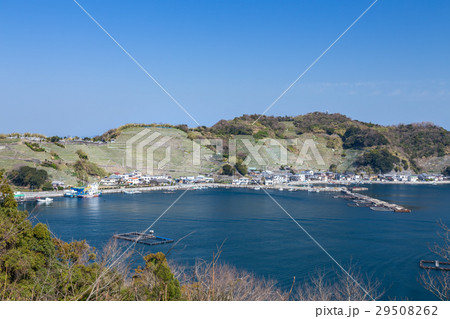 遊子水荷浦の段畑 29508262