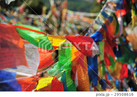 Colorful Player Flag flying 29508616