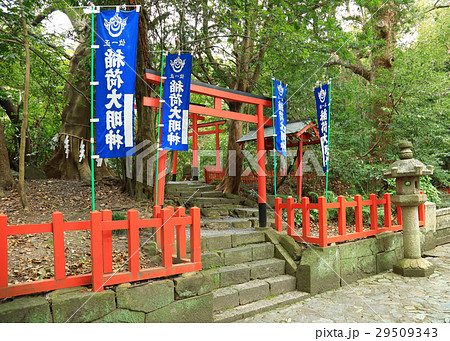 紀州東照宮 紀州東照宮 29509343