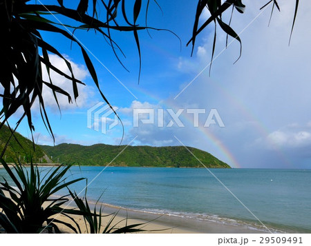 朝の虹01 29509491