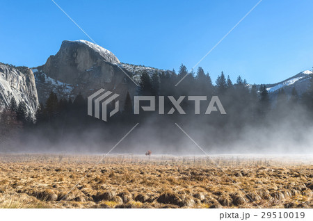 Half dome view from Yosemite Valley in the fog 29510019