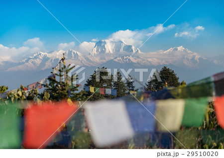 The Poonhill trek in Nepal 29510020