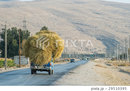 Truck loaded with straw bales on country road 29510395