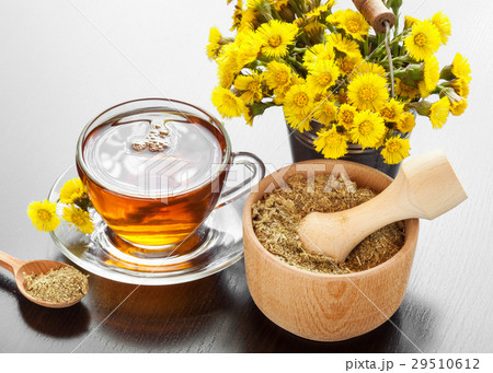 healthy tea, coltsfoot flowers and mortar healthy tea, coltsfoot flowers and mortar 29510612