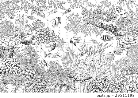 Underwater Landscape With Corals And Fishes Stock Illustration