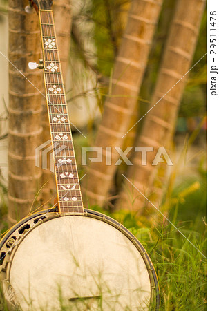An old banjo rests on a piece of green on a farm l An old banjo rests on a piece of green on a farm l 29511478