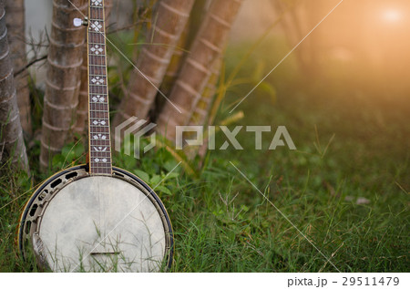 An old banjo rests on a piece of green on a farm l An old banjo rests on a piece of green on a farm l 29511479