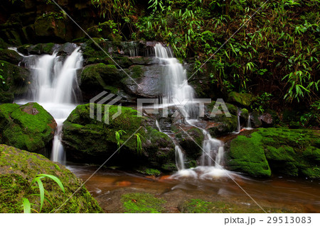 forest Waterfall 29513083