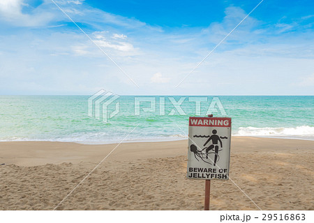 Jellyfish warning sign at beach . 29516863