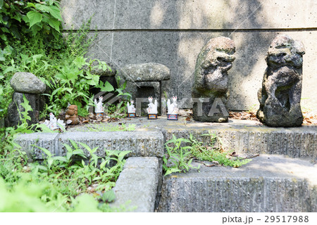 祠　お稲荷様　狛犬 29517988