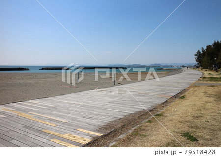 海 海 29518428