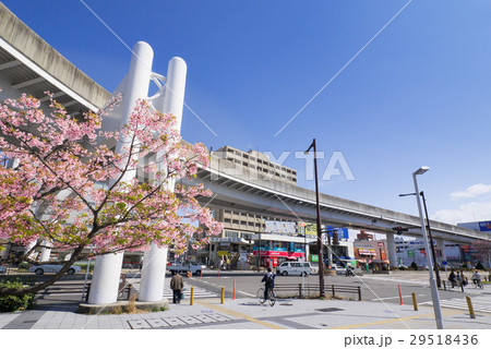 名古屋市東区　大曽根駅交差点とカワヅザクラ 29518436