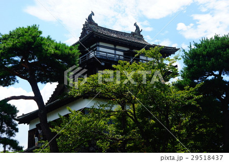 丸岡城　天守閣 29518437