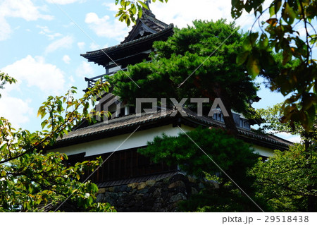 丸岡城　天守閣 29518438